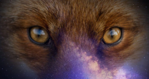 These 7 Questions Will Reveal Your Animal Ego