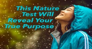 This Nature Test Will Reveal Your True Purpose