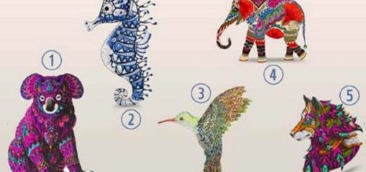 Choose Your Spiritual Animal, and Discover a Hidden Aspect of Your Personality