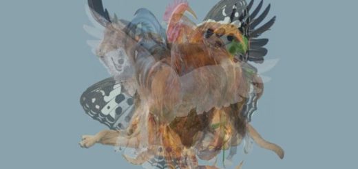 The First Animal You Can Identify in the Picture Reveals the Dominant Characteristics of Your Personality