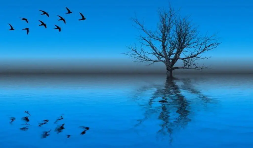 Blue Hour : The Magic Moment Between Dark and Light