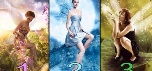 Choose a Fairy and Find out How Other People See You and What do They Think About You