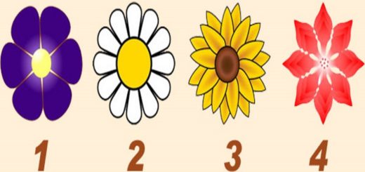 Choose a Flower and Discover the Message that Your Guardian Angel is Trying to Send You
