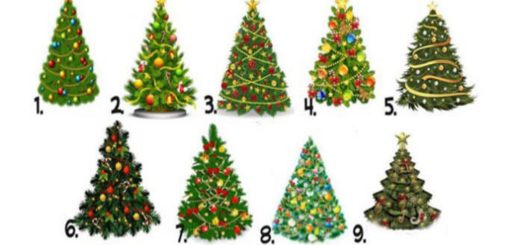 Choose the Christmas Tree You Like Best and Find out What Year Awaits You ...