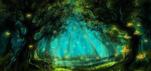 Forest Psychological Test Discover Your Desires and Hidden Thoughts