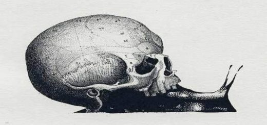 Snail or Skull The Visual Test that Reveals Something More About your Personality