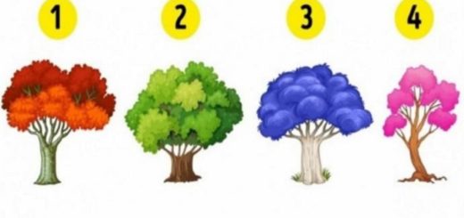 Tell me Which Tree You Choose and I'll Tell You What Emotion Dominates Your Life