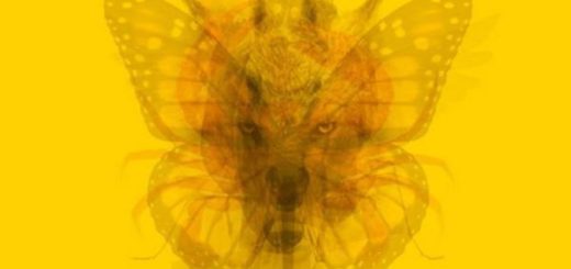 Which Animal do You See First The Test that Reveals Something More than Your Character