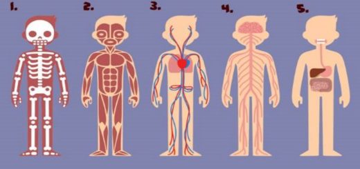 Which Part of the Body is Most Important to Survive Your Answer Hides What You Should Change in Life