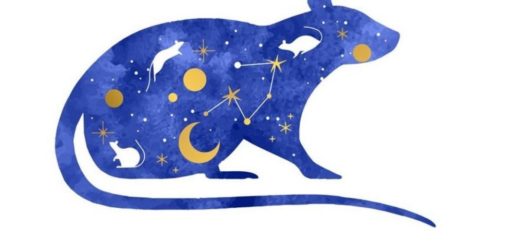 2020, the Year of the Rat According to the Chinese Horoscope. Take a look at the forecasts!