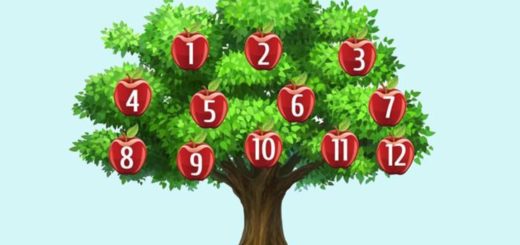 Choose an Apple and Find Out What Will Happen to You in the Near Future ...