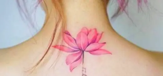 Each Flower Contains a Message - Discover the Flower That Corresponds To Your Month of Birth and What it Has to Say to You