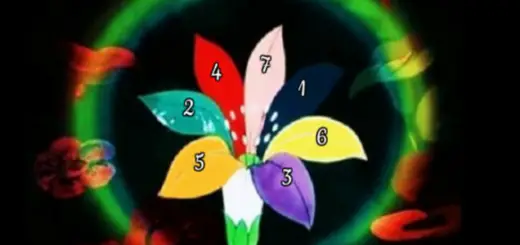Make a Wish, Then Choose a Petal of This Magical Flower
