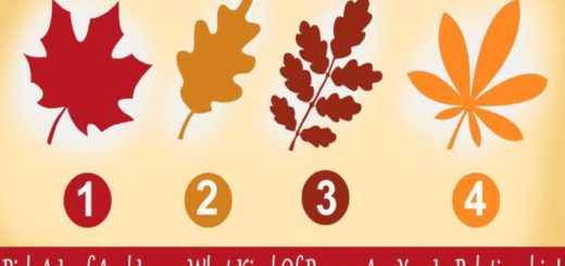 What Type of Partner Are You in a Relationship? Choose a Leaf to Find Out