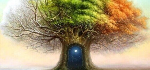 The Karl Koch Tree Test Do You Know How Your Emotion Works