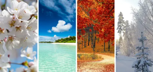 The Season in Which You Were Born Affects Your Character. Discover Something New About Your Character