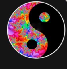 yin yang 1