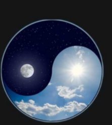 yin yang 4