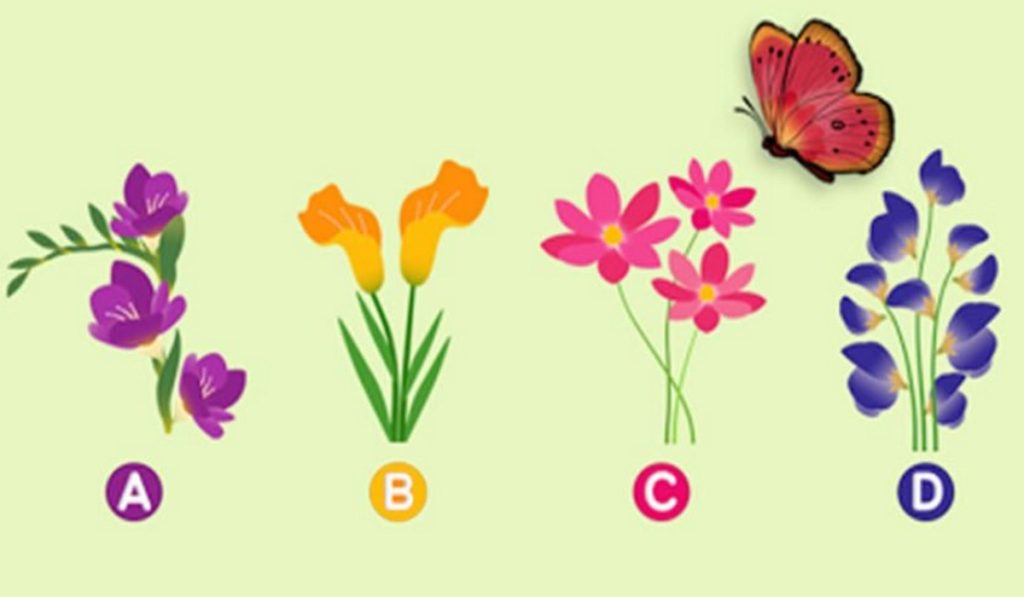 Choose the Flower on Which the Butterfly will Rest and Find out What it Reveals About Your Weak Points