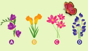 Choose the Flower on Which the Butterfly will Rest and Find out What it Reveals About Your Weak Points
