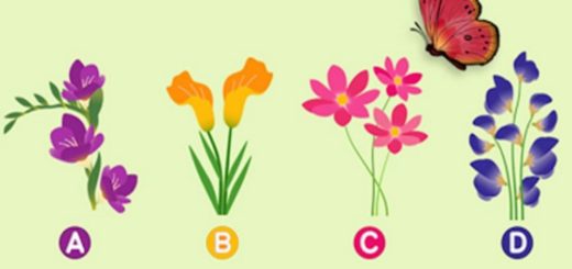 Choose the Flower on Which the Butterfly will Rest and Find out What it Reveals About Your Weak Points