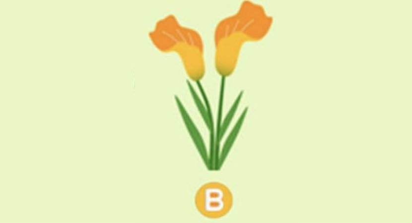 Flower B
