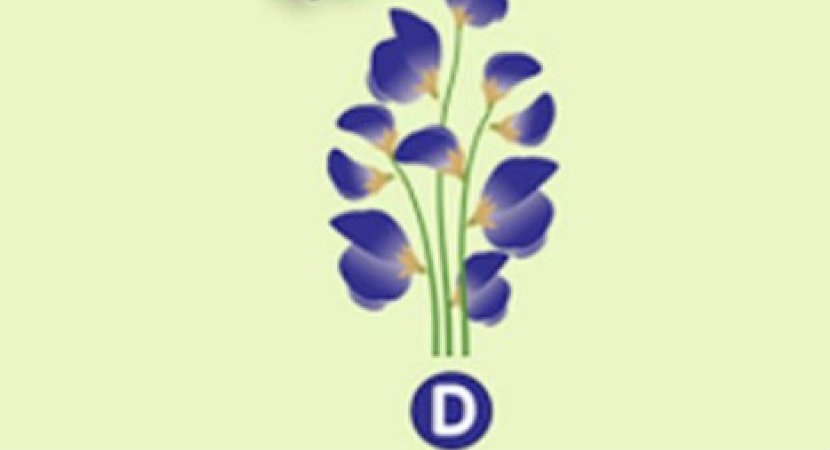 Flower D