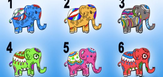 One of These Colorful Elephants Will Tell You the Traits of Your True Personality!