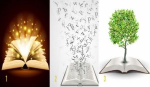 Test Choose a Book of Wisdom and Find Your Way to Success