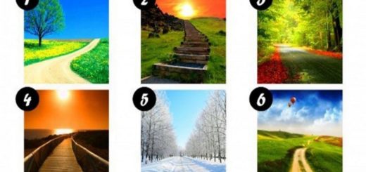Test Choose a Path and Discover the Most Important Aspects of Your Life