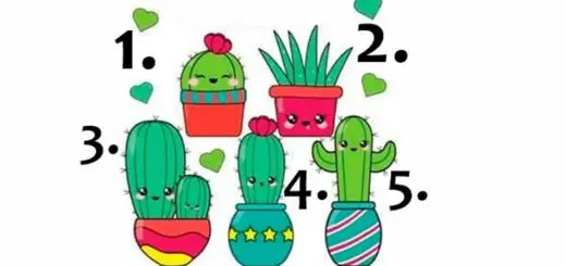 Test Choose the Cactus you Like Best and Find out Which Message it Brings
