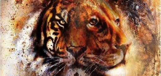 Test The First Predator You Saw Will Reveal Powerful Information About Your True Nature!