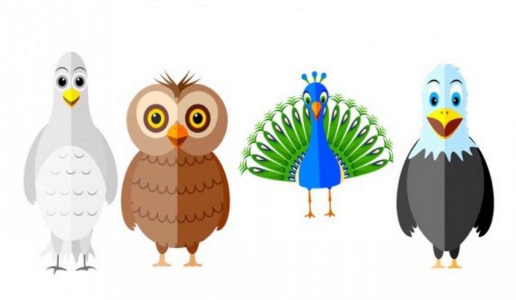 The Bird You Choose Will Tell You Something About Your Personality
