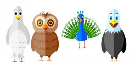 The Bird You Choose Will Tell You Something About Your Personality