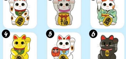 The Fortune Cat You Choose Will Tell You What Kind of Message of Luck it Has For You