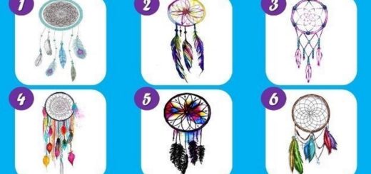 Which Dream Catcher Attracts You It Will Reveal a Special Detail About You