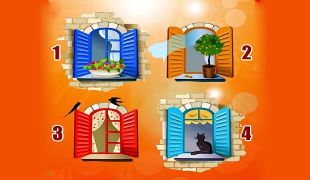 Which Window Would you ChooseWhat You Would Like to Look for in the World