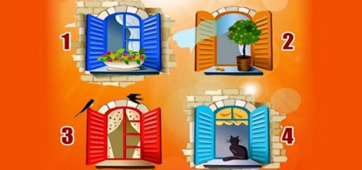 Which Window Would you ChooseWhat You Would Like to Look for in the World