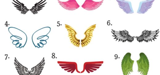 Which Wings Would you Choose Discover the Blessing that has Been Sent to You