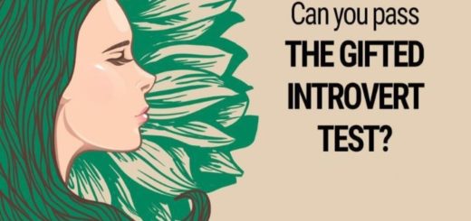 Can You Pass The Gifted Introvert Test?