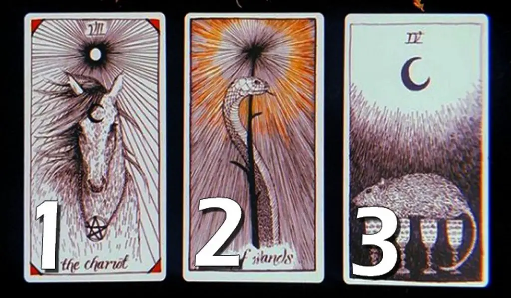 Choose a Card and Discover its Precious Advice!