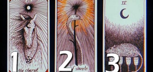 Choose a Card and Discover its Precious Advice!