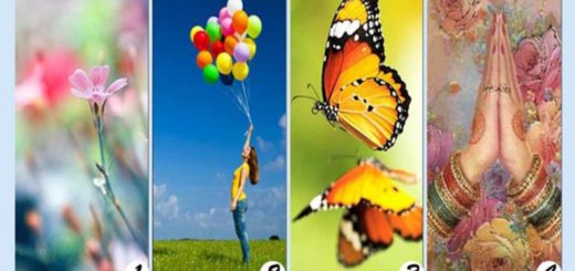 Choose a Card and Discover the Message it Has in Store For You for This Moment of Your Life