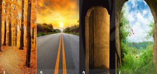 Do You Know What Your Real Priorities Are? Choose a Path and Discover Them!
