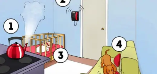 Fun Test If You Were in This Situation, What Would You Do First