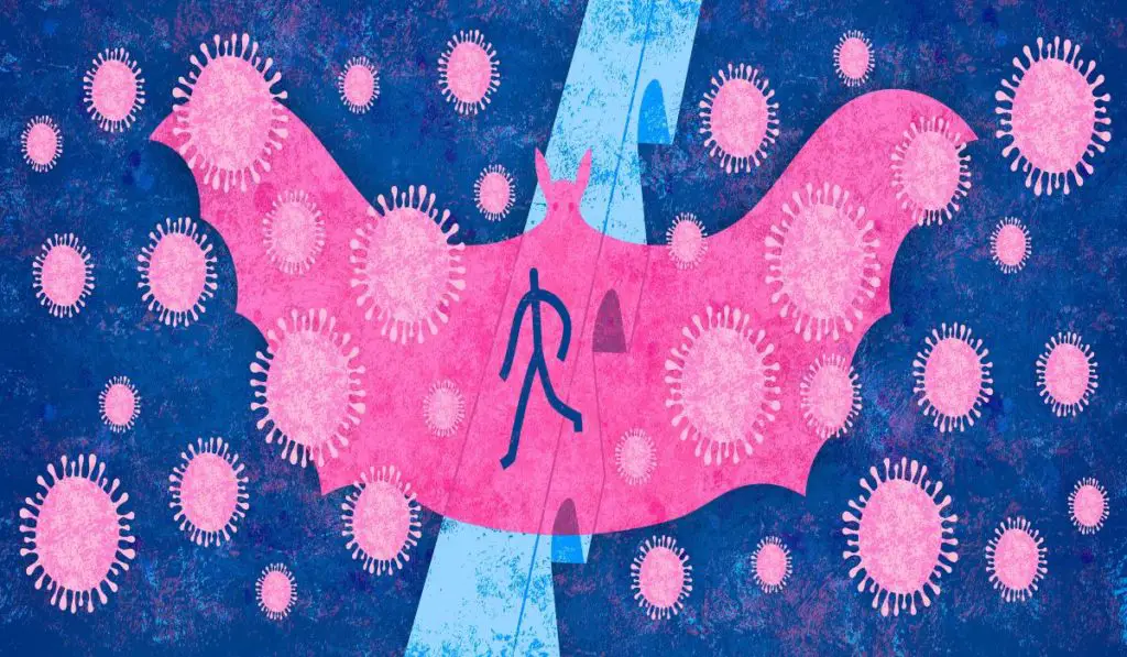 How Likely Are You To Catch The Coronavirus