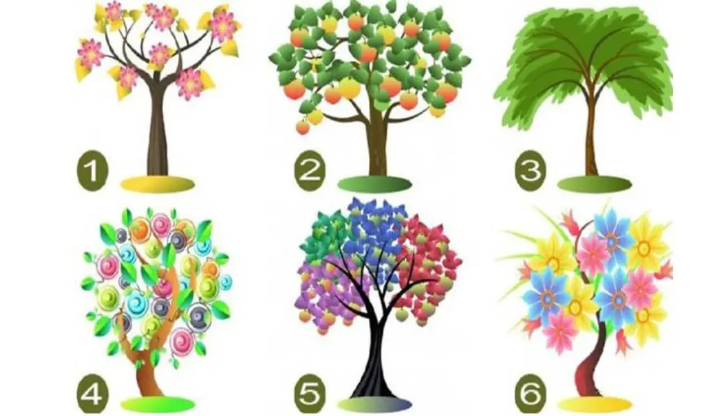 The Tree You Choose Will Indicate the Traits of Your Dominant Personality