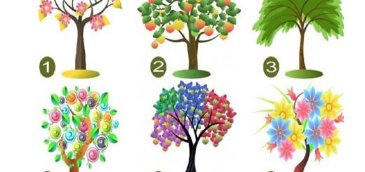 The Tree You Choose Will Indicate the Traits of Your Dominant Personality