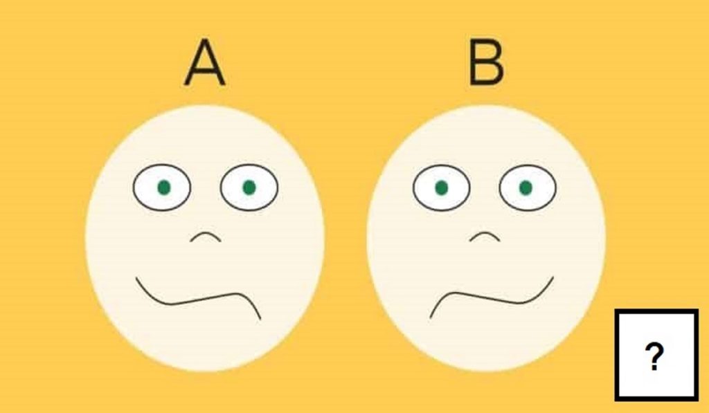 What Part of Your Brain Dominates Your Personality