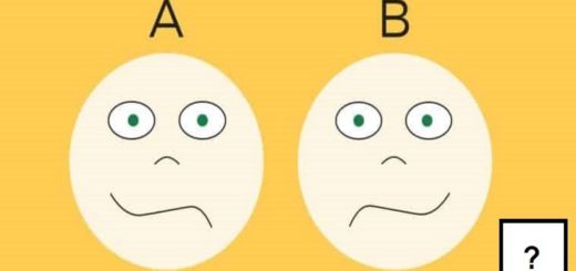 What Part of Your Brain Dominates Your Personality